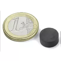 آهنربای فریت گرد 12x5