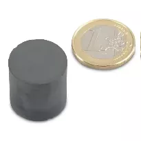 آهنربای فریت گرد 20x20