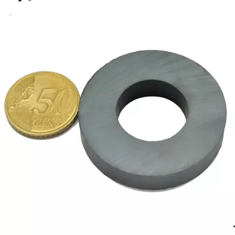 آهنربای فریت رینگی با ضخامت 8mm